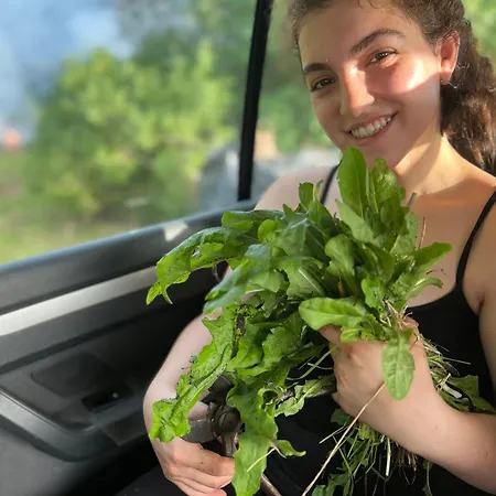 Holiday home La Cala On Acquaviva Marittima